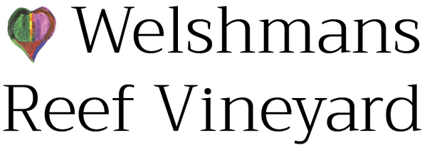 Welshmans Reef Vineyard